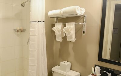 Magnolia Hotel St. Louis, a Tribute Portfolio Hotel