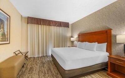 Drury Plaza Hotel St. Louis Brentwood