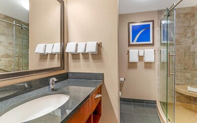 Drury Plaza Hotel St. Louis Brentwood