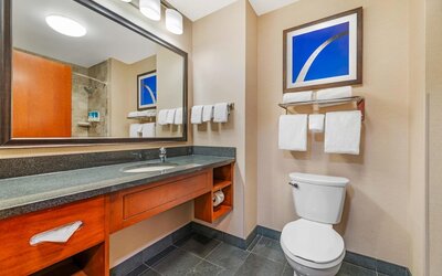 Drury Plaza Hotel St. Louis Brentwood