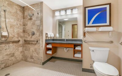 Drury Plaza Hotel St. Louis Brentwood