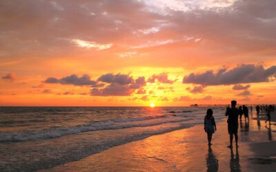 DoubleTree Beach Resort by Hilton Tampa Bay - North Redingto