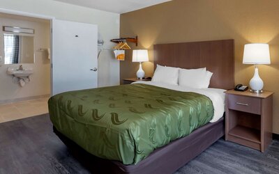 Quality Inn Saint Petersburg North-Tampa Bay
