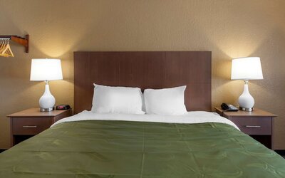 Quality Inn Saint Petersburg North-Tampa Bay