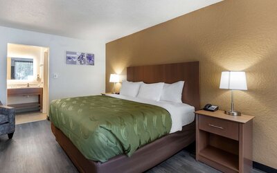 Quality Inn Saint Petersburg North-Tampa Bay