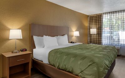 Quality Inn Saint Petersburg North-Tampa Bay