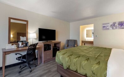 Quality Inn Saint Petersburg North-Tampa Bay