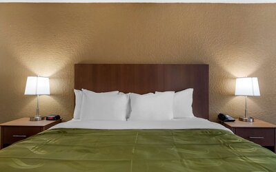 Quality Inn Saint Petersburg North-Tampa Bay