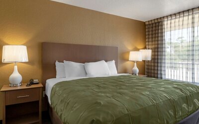 Quality Inn Saint Petersburg North-Tampa Bay