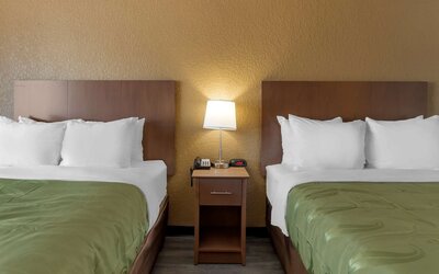 Quality Inn Saint Petersburg North-Tampa Bay
