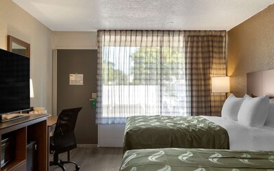 Quality Inn Saint Petersburg North-Tampa Bay