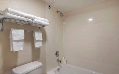 Quality Inn Saint Petersburg North-Tampa Bay