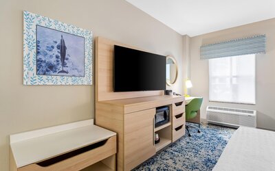 Hampton Inn & Suites St. Petersburg/Downtown