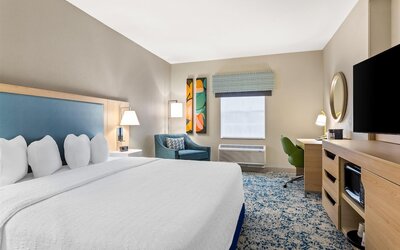 Hampton Inn & Suites St. Petersburg/Downtown