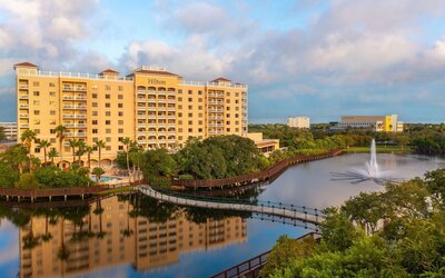 Hilton St. Petersburg Carillon Park