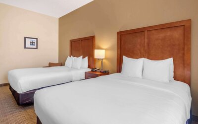 Comfort Inn & Suites Northeast - Gateway