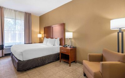 Comfort Inn & Suites Northeast - Gateway