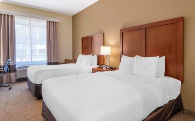 Comfort Inn & Suites Northeast - Gateway