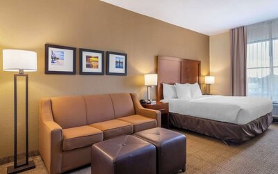Comfort Inn & Suites Northeast - Gateway