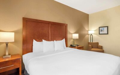 Comfort Inn & Suites Northeast - Gateway