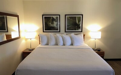 La Quinta Inn & Suites by Wyndham Tampa Brandon West