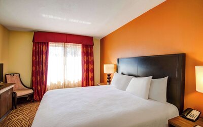 Hilton Garden Inn Tampa Ybor Historic District