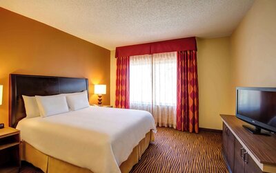 Hilton Garden Inn Tampa Ybor Historic District