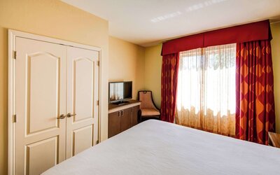 Hilton Garden Inn Tampa Ybor Historic District