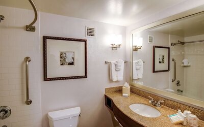 Hilton Garden Inn Tampa Ybor Historic District