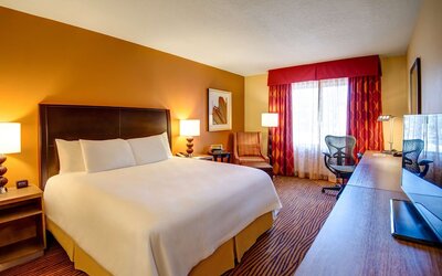 Hilton Garden Inn Tampa Ybor Historic District