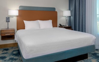 Hampton Inn & Suites Tampa Airport Avion Park Westshore
