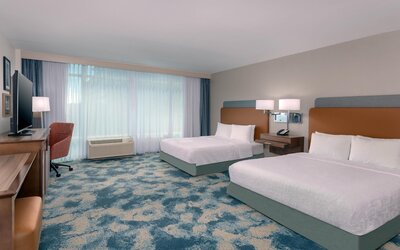 Hampton Inn & Suites Tampa Airport Avion Park Westshore