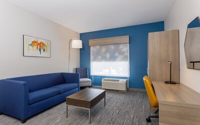 Holiday Inn Express & Suites Tampa Stadium – Airport Area by IHG