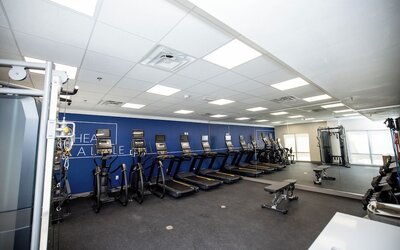 Holiday Inn Express & Suites Tampa Stadium – Airport Area by IHG
