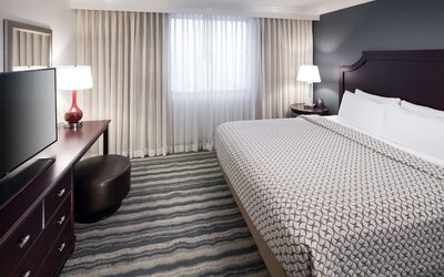 Embassy Suites by Hilton Tampa Brandon