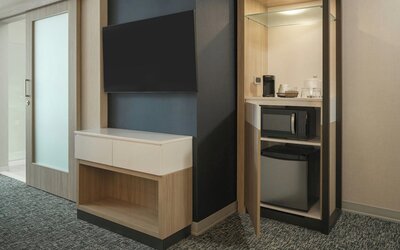 SpringHill Suites by Marriott Tampa Downtown