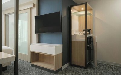 SpringHill Suites by Marriott Tampa Downtown
