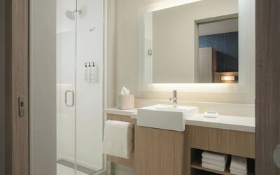 SpringHill Suites by Marriott Tampa Downtown