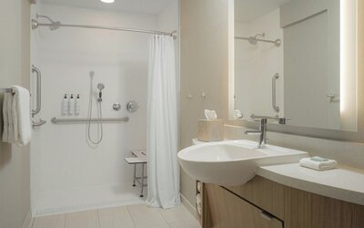 SpringHill Suites by Marriott Tampa Downtown