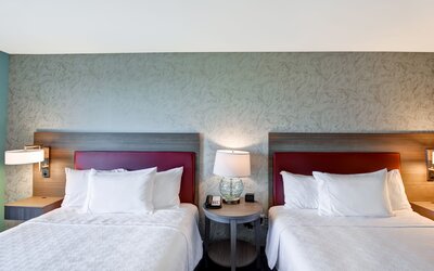 Home2 Suites by Hilton Tampa USF Near Busch Gardens