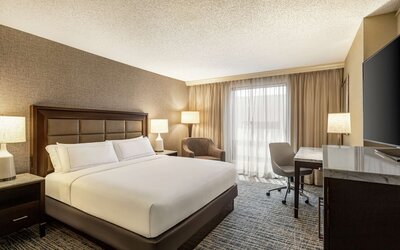 Hilton Tampa Downtown