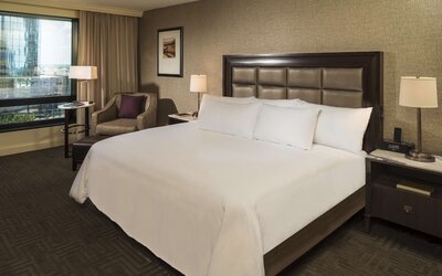 Hilton Tampa Downtown