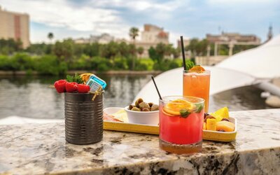 Aloft by Marriott Tampa Downtown
