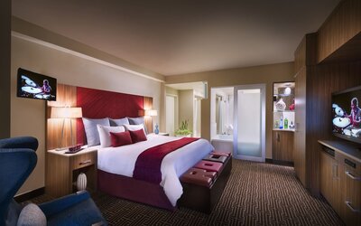 Seminole Hard Rock Hotel & Casino Tampa