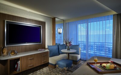 Seminole Hard Rock Hotel & Casino Tampa