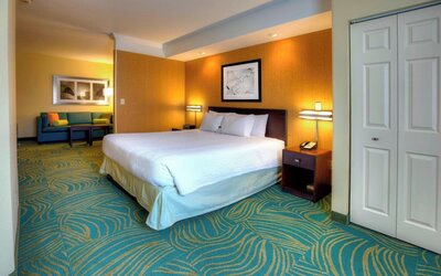 Springhill Suites by Marriott Tampa Brandon
