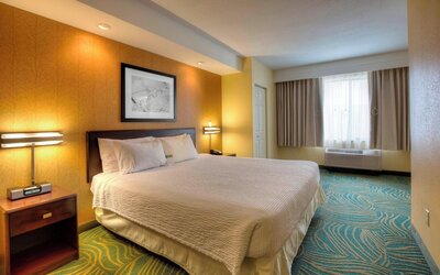 Springhill Suites by Marriott Tampa Brandon