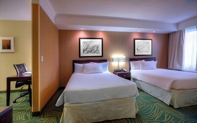 Springhill Suites by Marriott Tampa Brandon