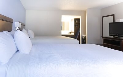 Hotel South Tampa & Suites