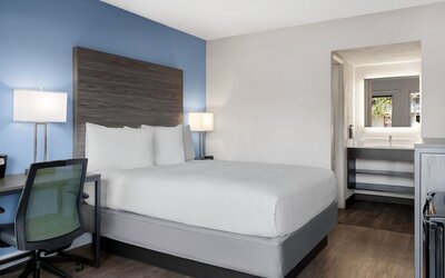 Hotel South Tampa & Suites
